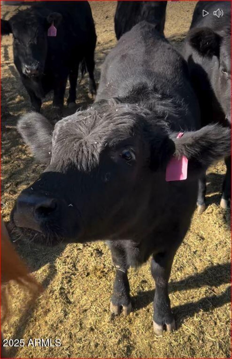 Posing for the camera