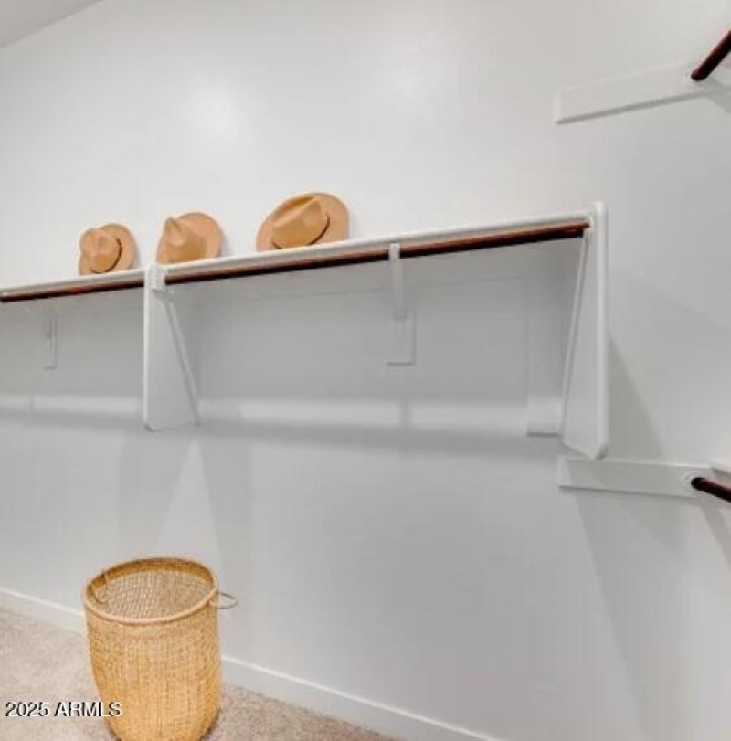 Owners Walk in Closet 2