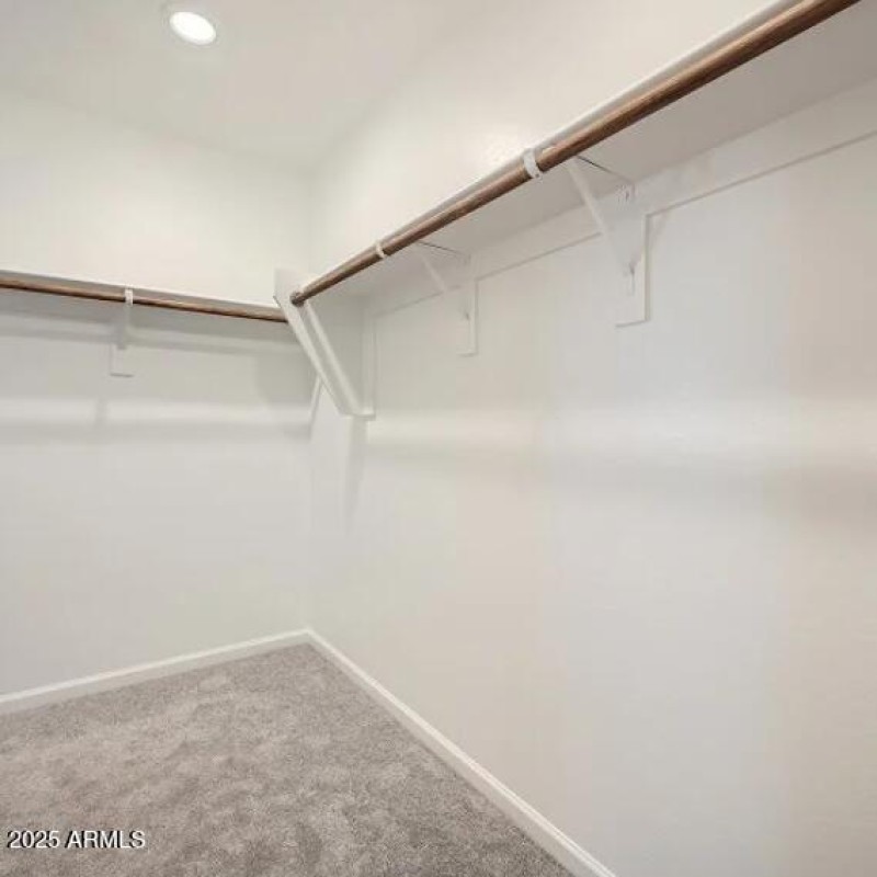 Owners Walk in Closet