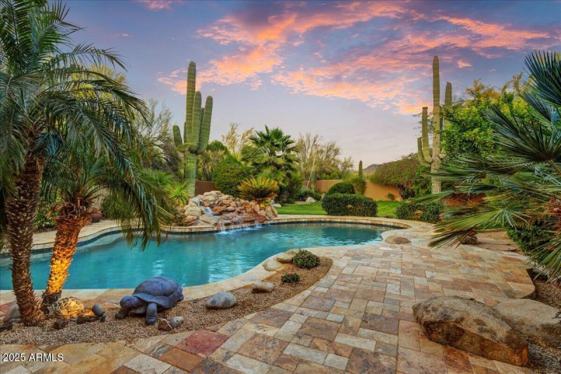 Backyard Oasis