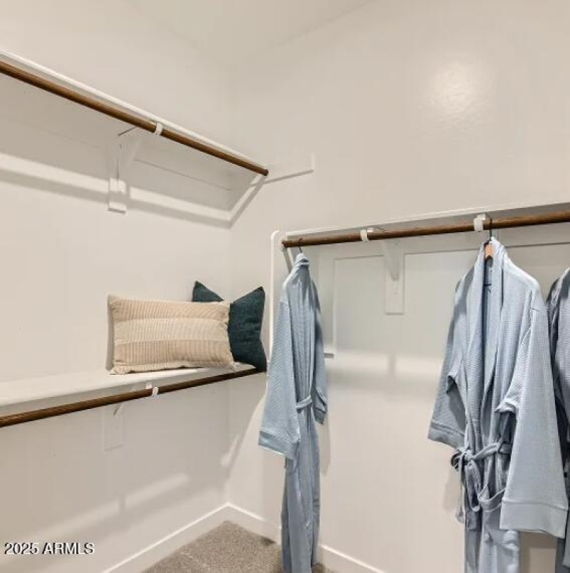 Owners Walk in Closet