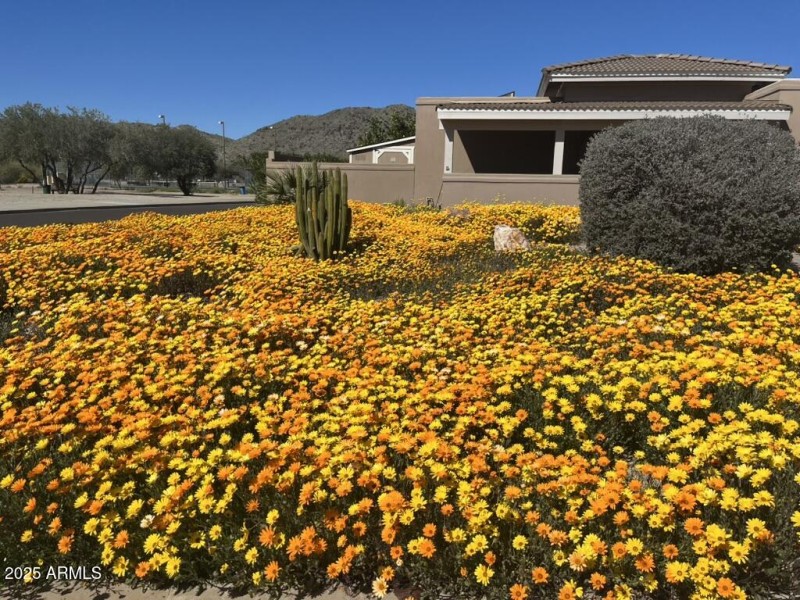 C6B38D8F-974C-49DB-A483-004CD0ABD16D_1_1