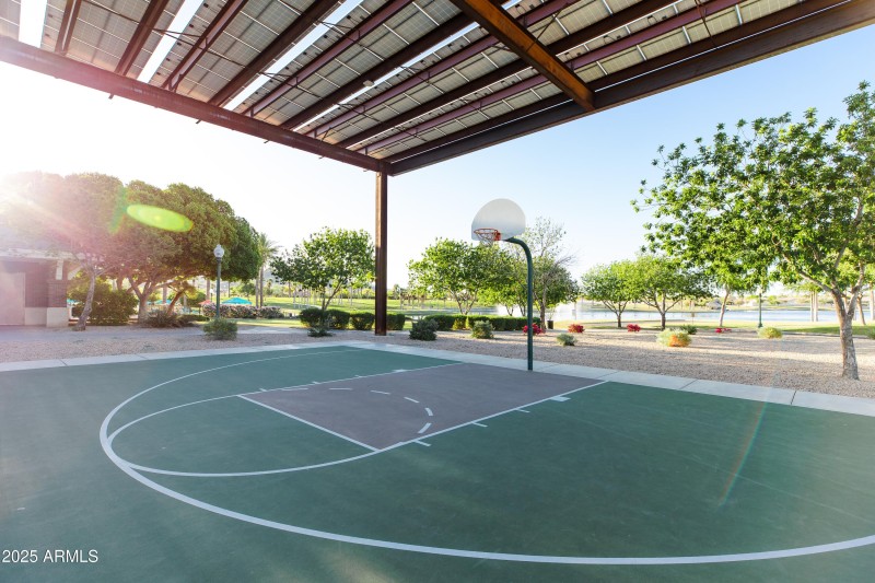 Basketball Court