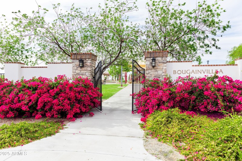 Bougainvillea Park