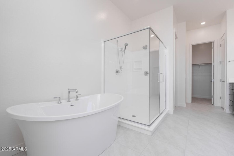 Tri Pointe Soleo 400 - Primary Bathroom-