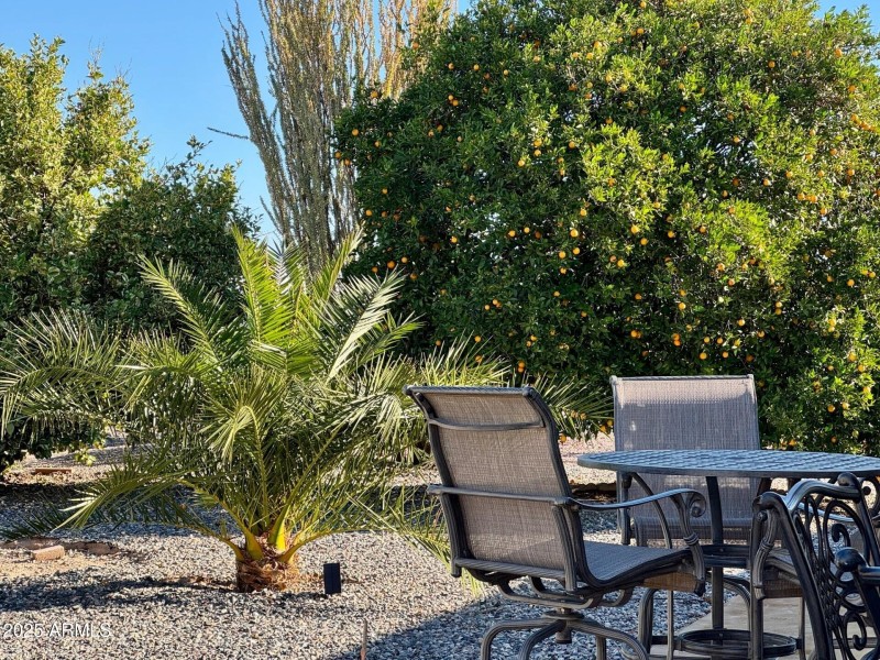 Abundant AZ Sweet Oranges