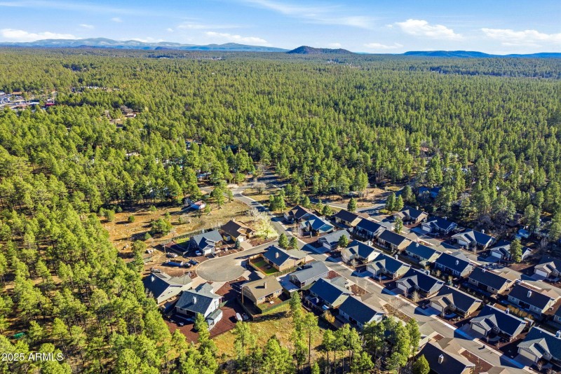 736WSummerHavenLn-PinetopLakeside-AZ-35