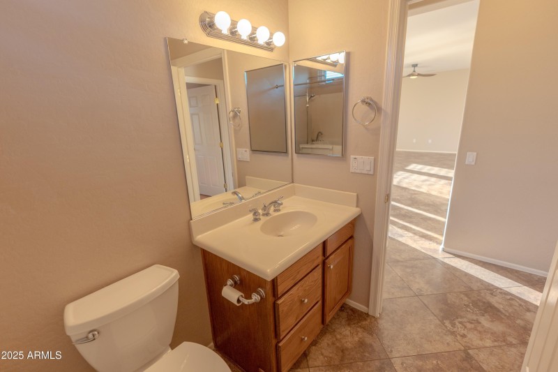 Hall Bathroom view 2