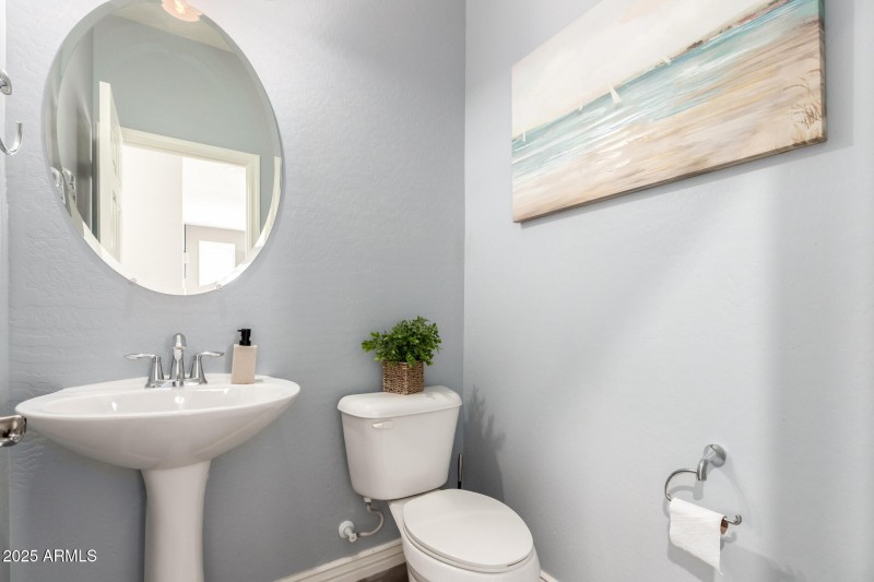 20 - Palo Verde 4268