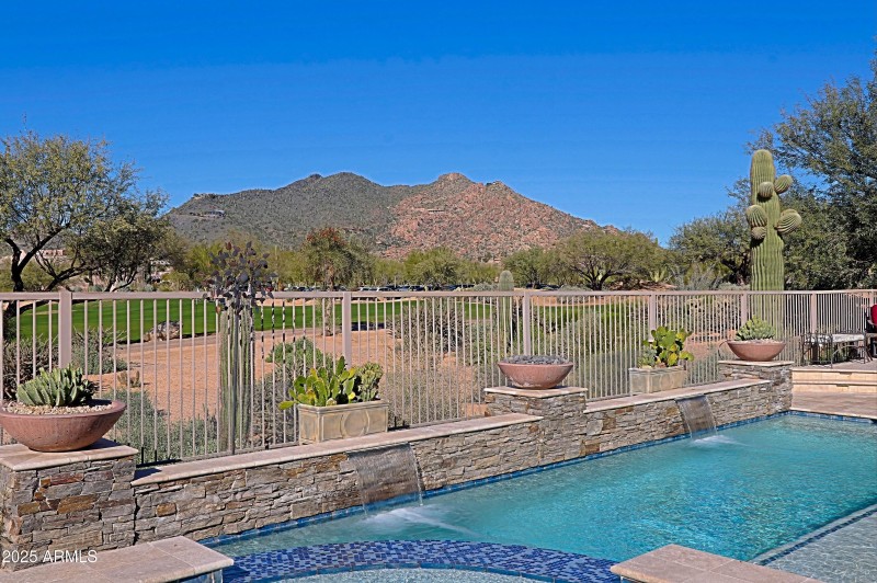 Backyard 6
