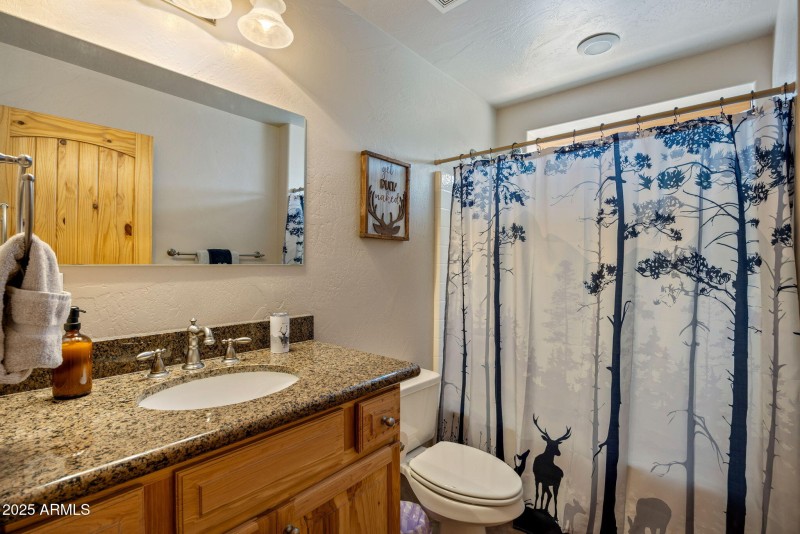 2190EvergreenLn-ShowLow-AZ-29