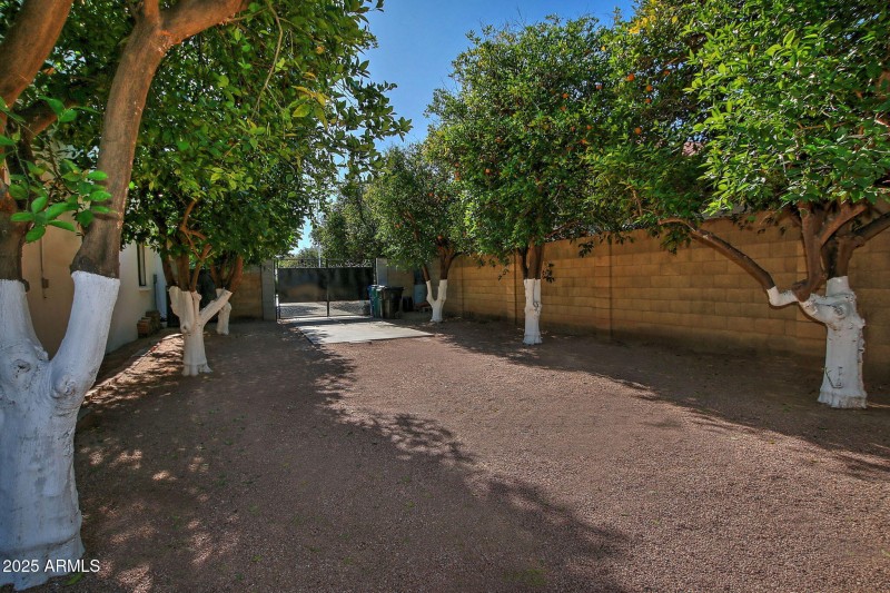 58-web-or-mls-zSet10