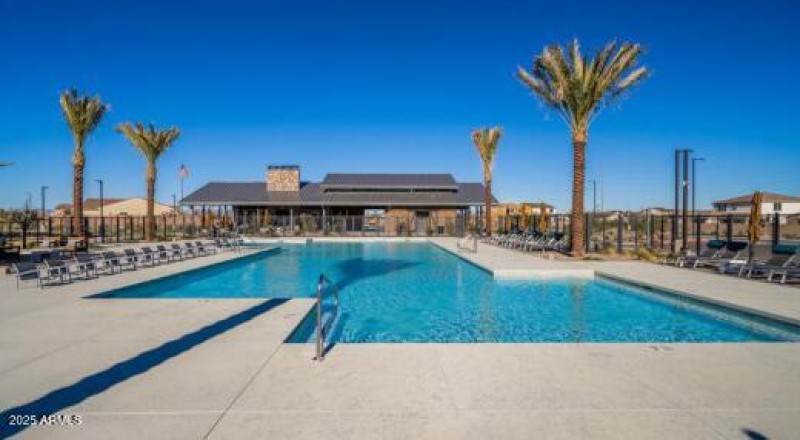 Paradisi Discovery - Community