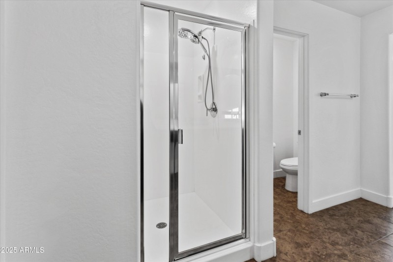 Primary Bath Walk-in Shower