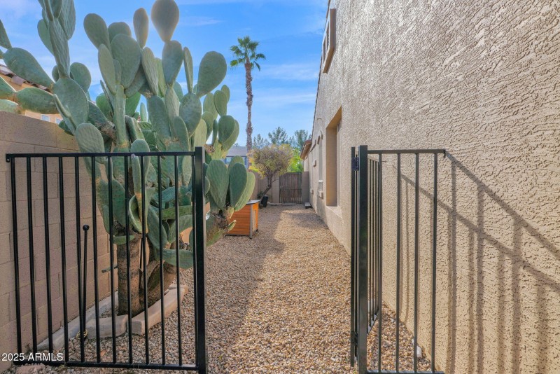 3810 Latham - 41Side Yard Gate