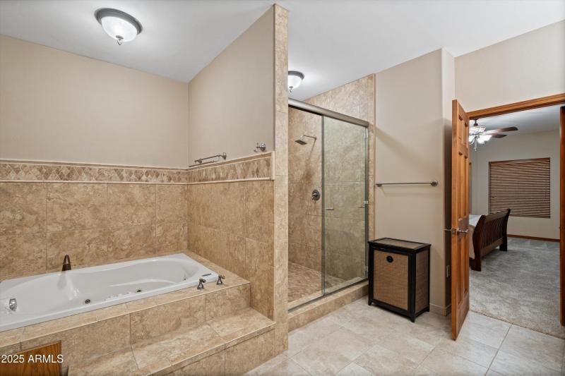 Basement Primary Suite Bathroom