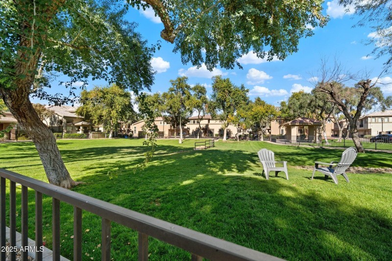 Huge park for family and pets