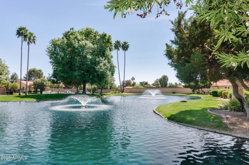 61-web-or-mls-ZDSC_1528