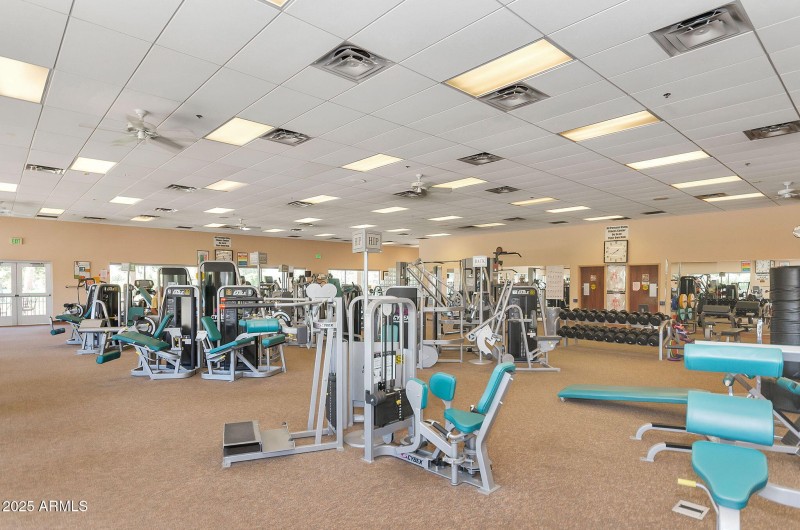 69-web-or-mls-ZDSC_1553