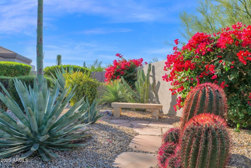 75-web-or-mls-P1415350