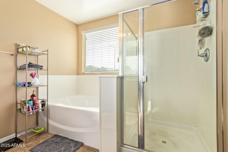 Main bathroom shower and tub - La Salle