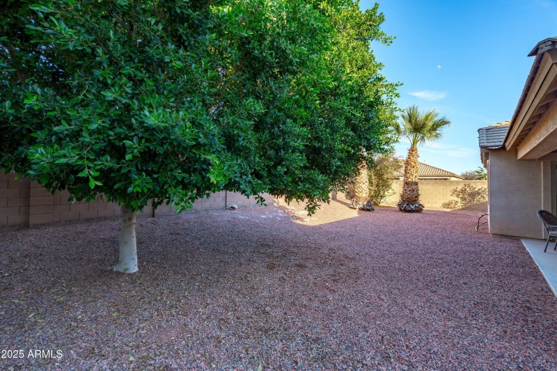 35-Backyard View