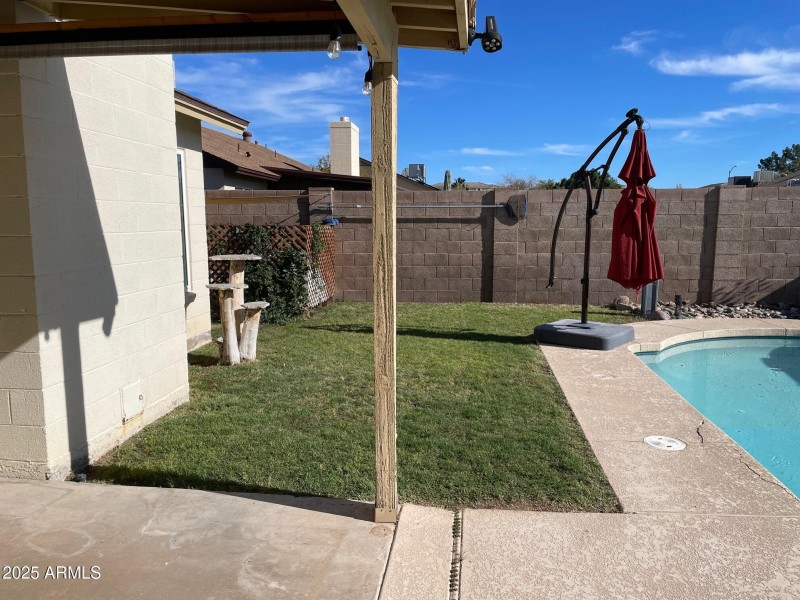 11 Back Yard and Pool