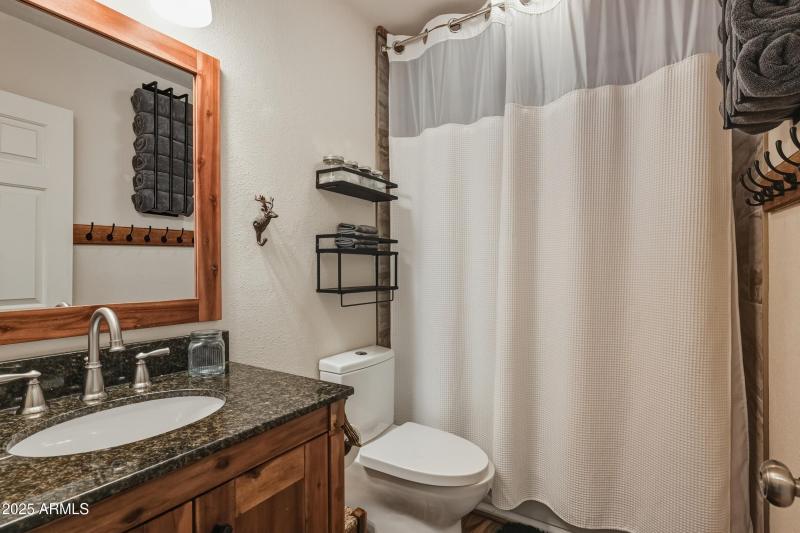 Guest bathroom
