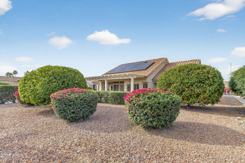 Landscaped for Privacy