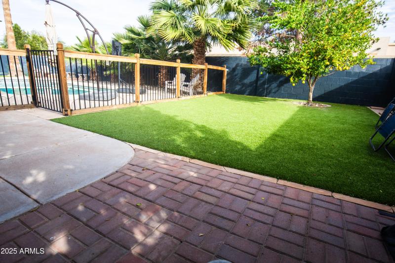 Artificial Grass