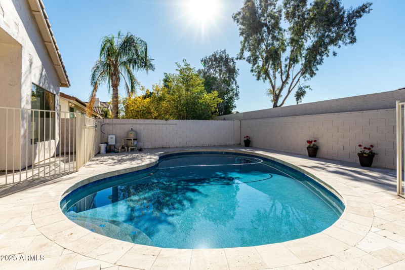 Pool with Travertine Deck