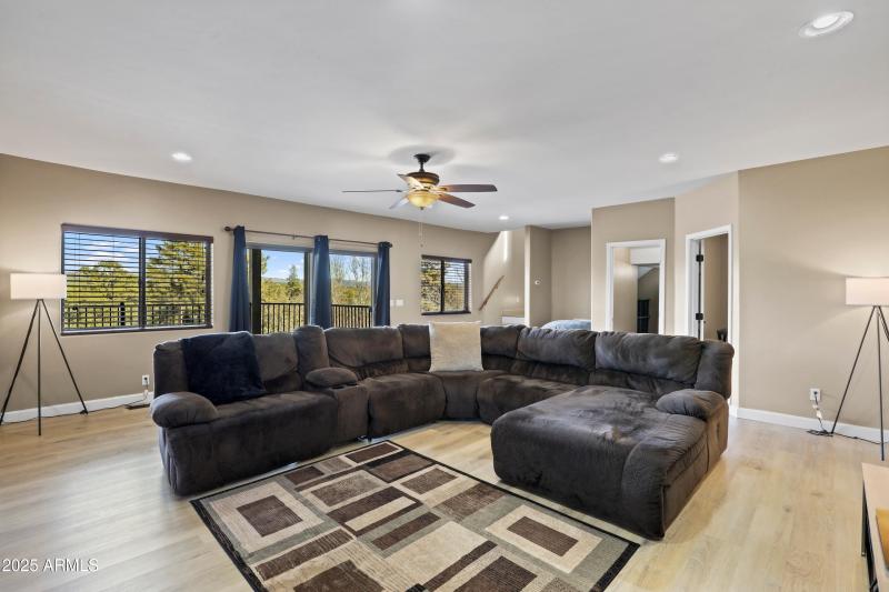 Downstairs Family Room