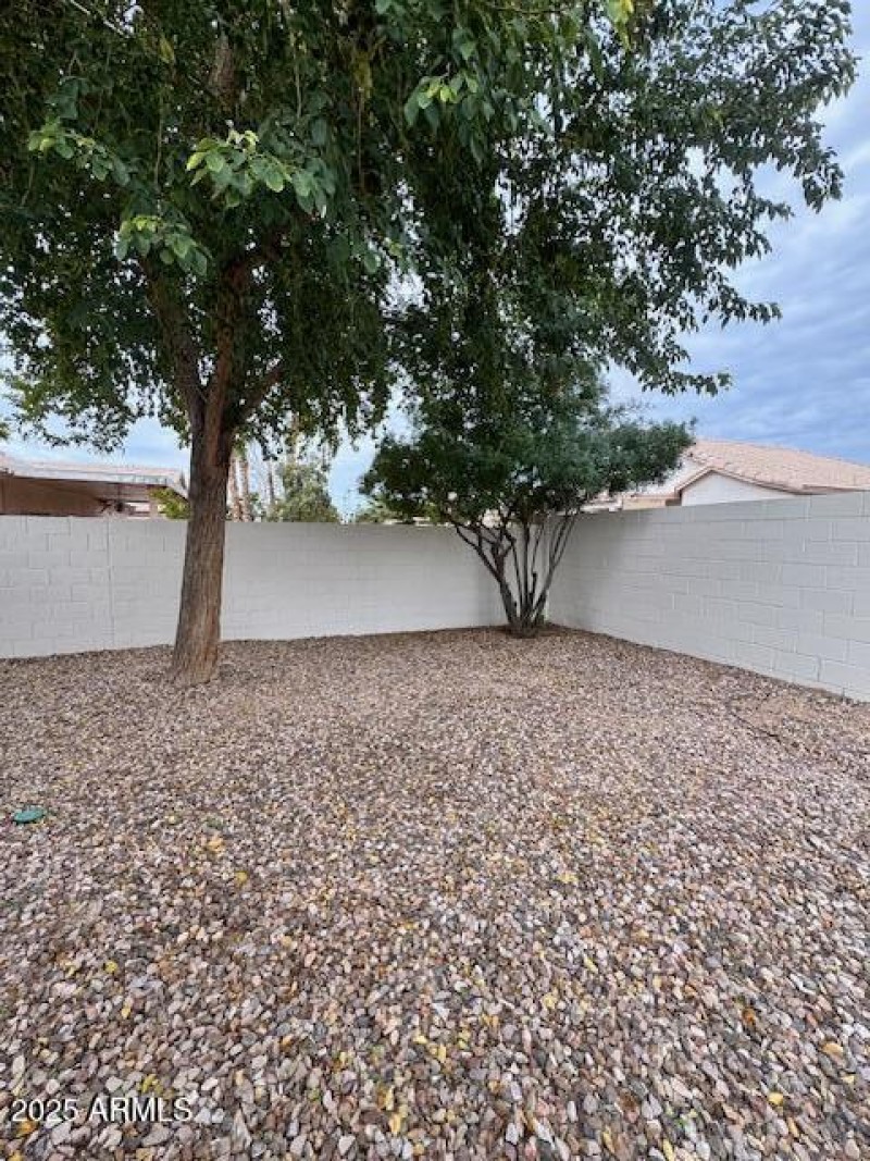 8136 W. Laurel -backyard