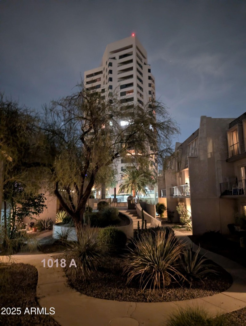 view at night