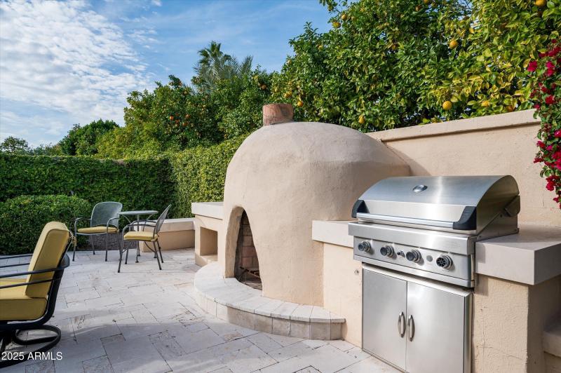 Outdoor fireplace & BBQ