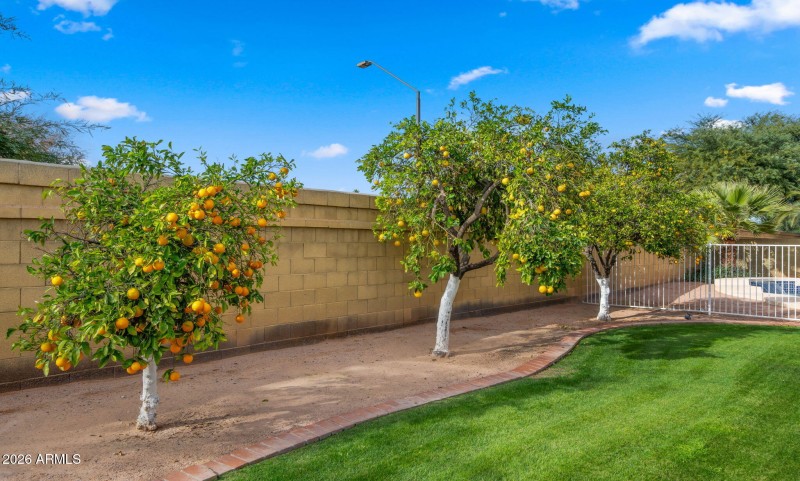 46-web-or-mls-Backyard13