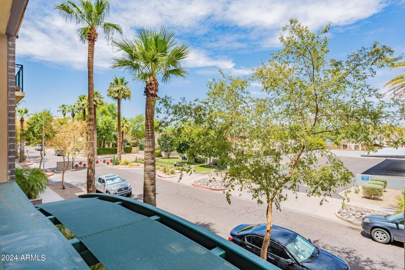 views of willow neighborhood