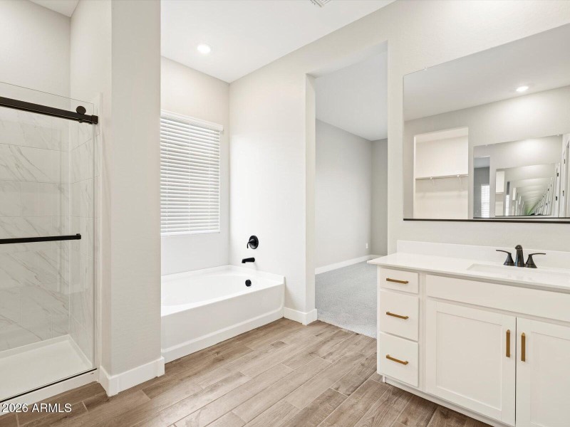 Primary Bathroom View 2