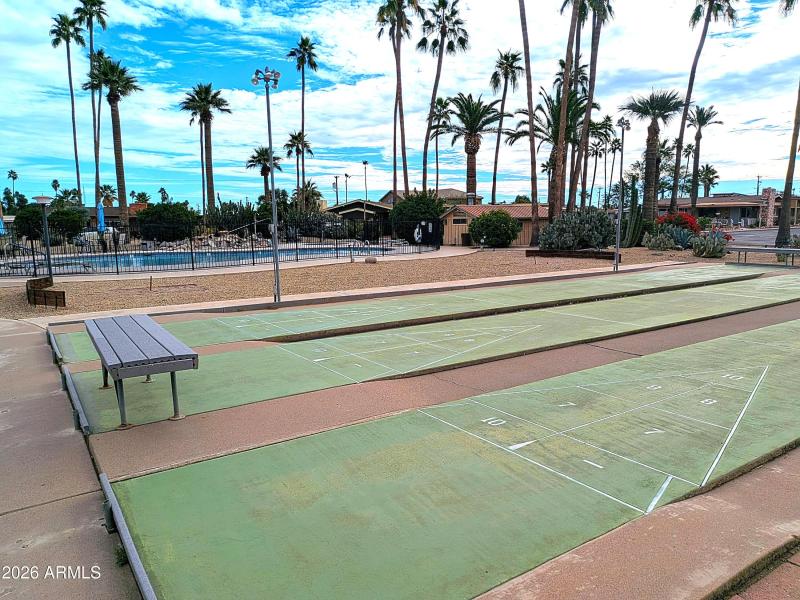 Shuffleboard