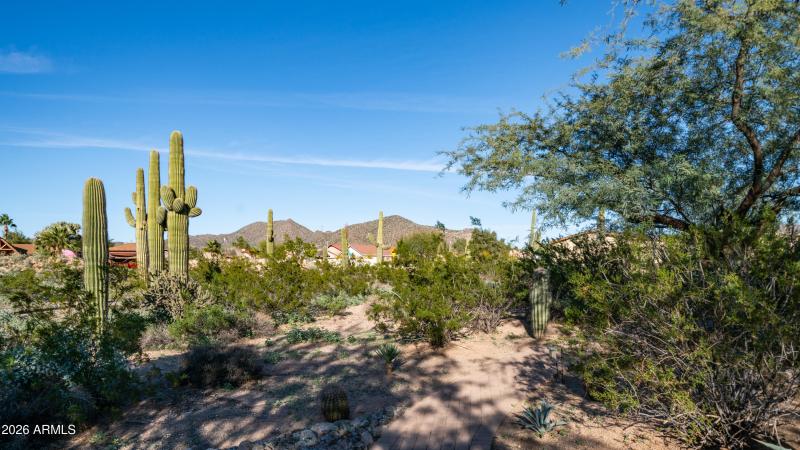 Desert front