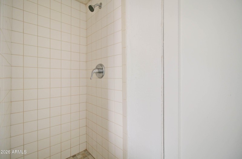 877 E Sycamore Tweety Bird-8