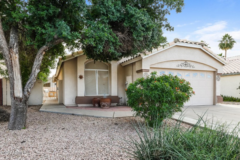 002-photo-front-view-15063493