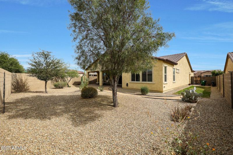 Large Backyard