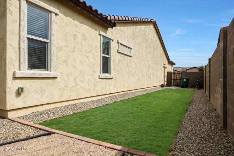 Grassy Side Yard