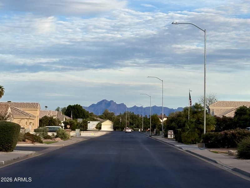 elmwood superstitions