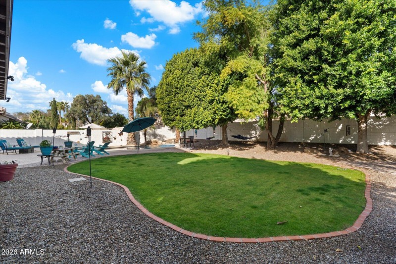 Spacious Scottsdale Backyard Lawn