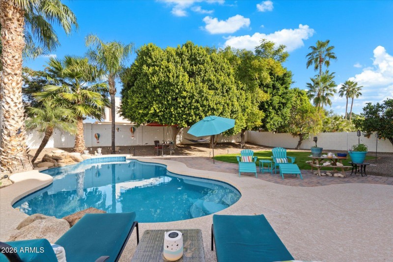Scottsdale Backyard Oasis