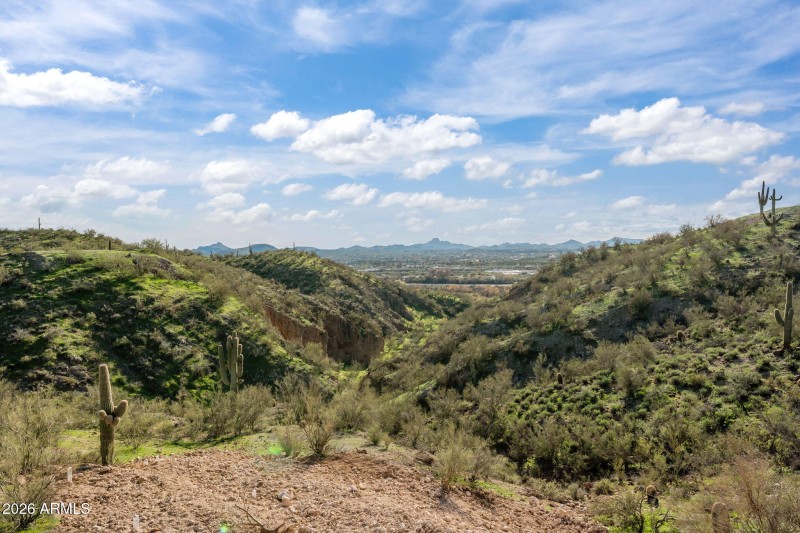 39-web-or-mls-DSC08799