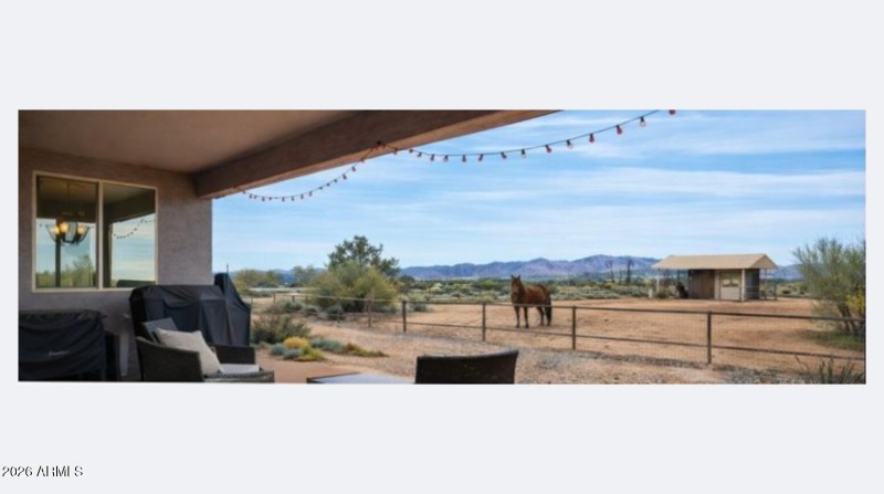 Virtual horse backyard