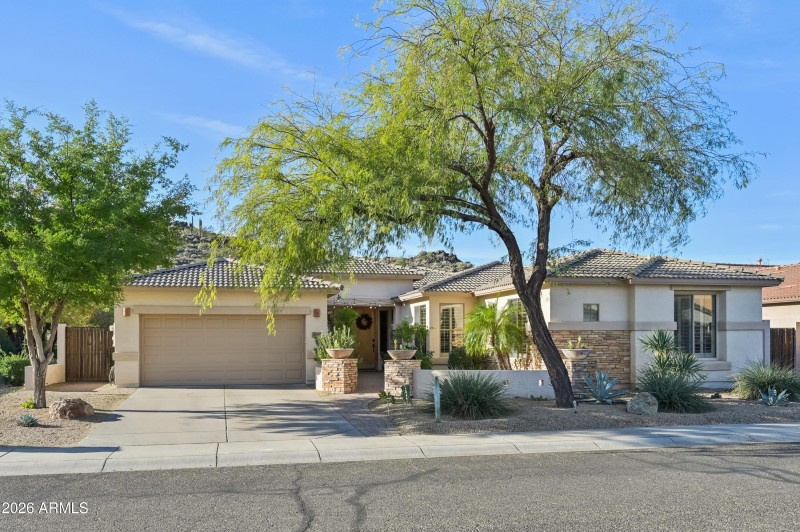 2-print-W Hedgehog Pl-S3012-002